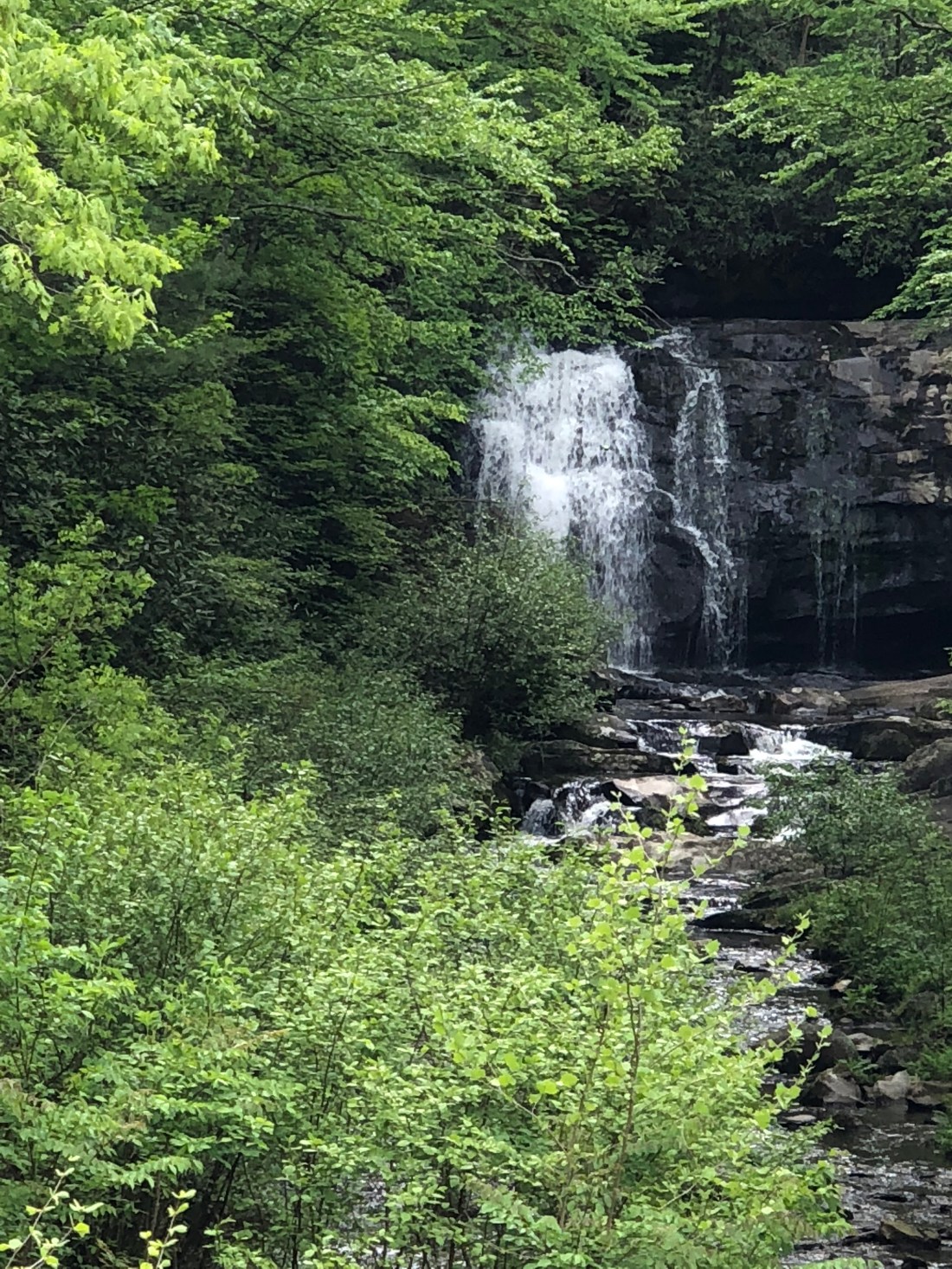 zI408JNcTIKx9m+Eb094sQ