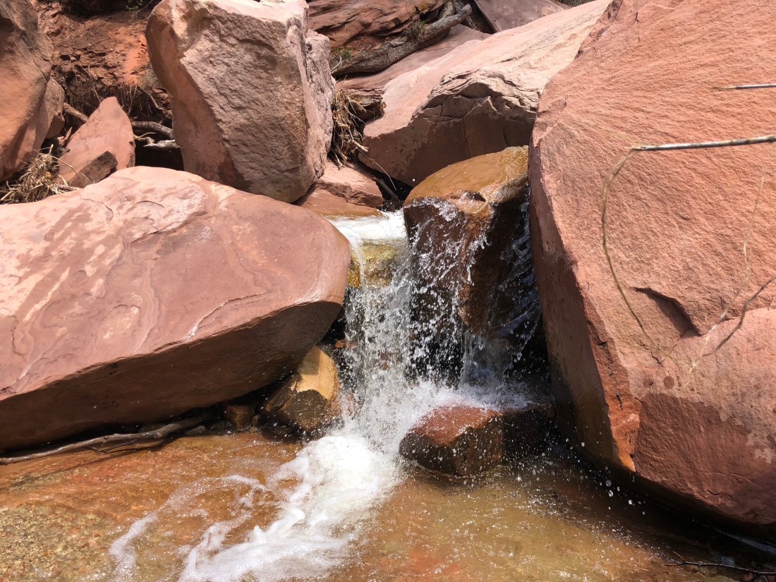 2NCMH6A5RE6IwxSreWxt9g