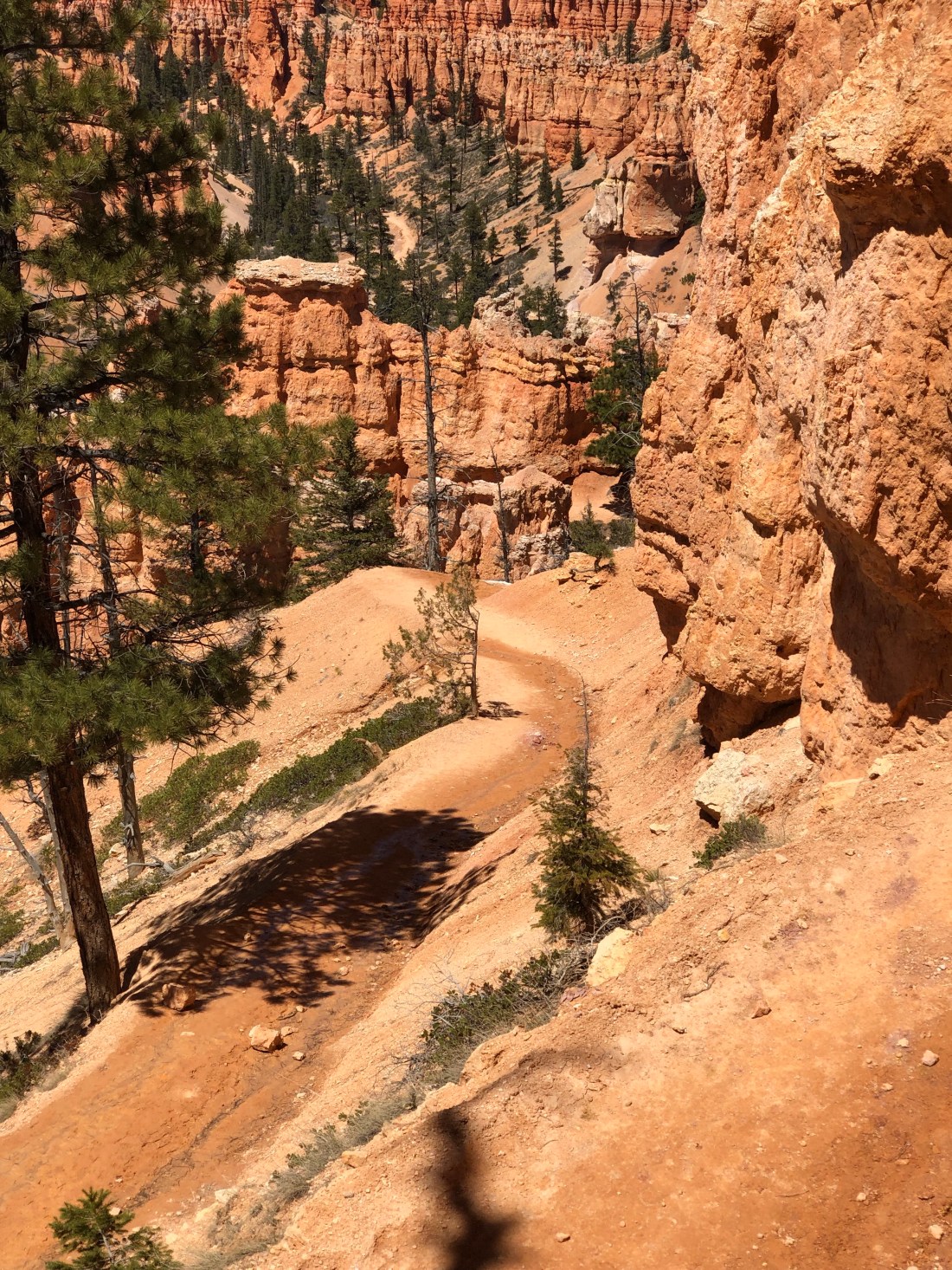 3Y8bVJthROaMpQ10Jkb4Ag