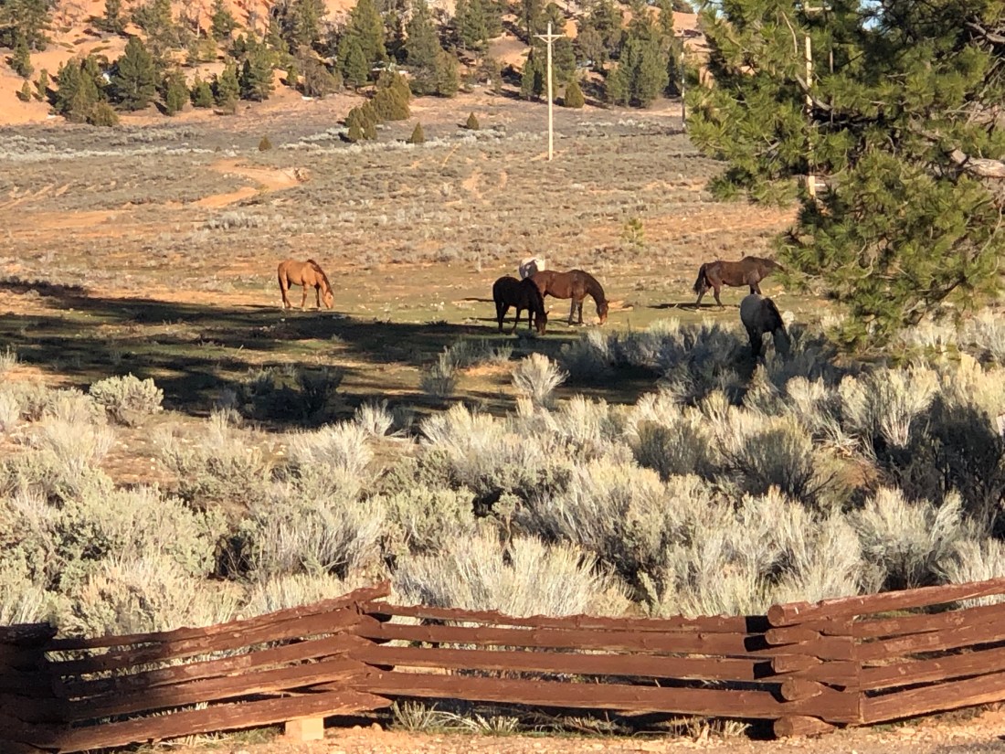 4Zro1udXT4W2tmyPyL%hVQ