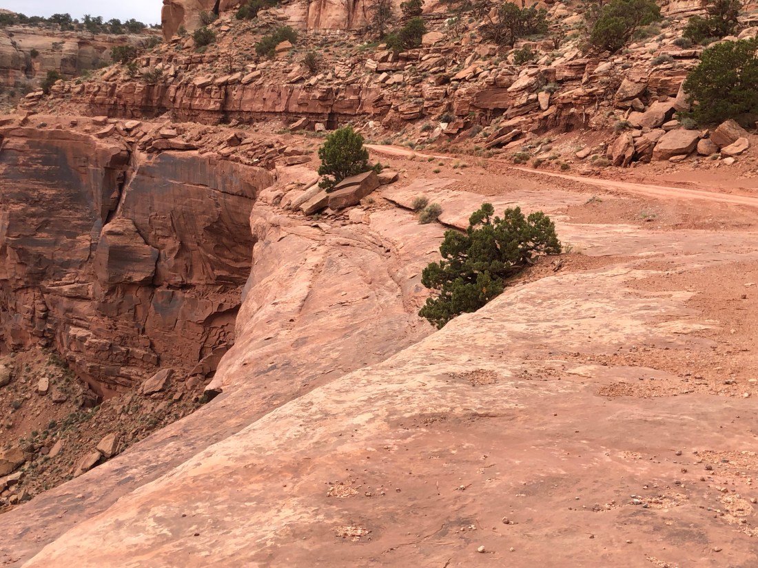 CfAdfVQfRMGUkHxOeA85gg