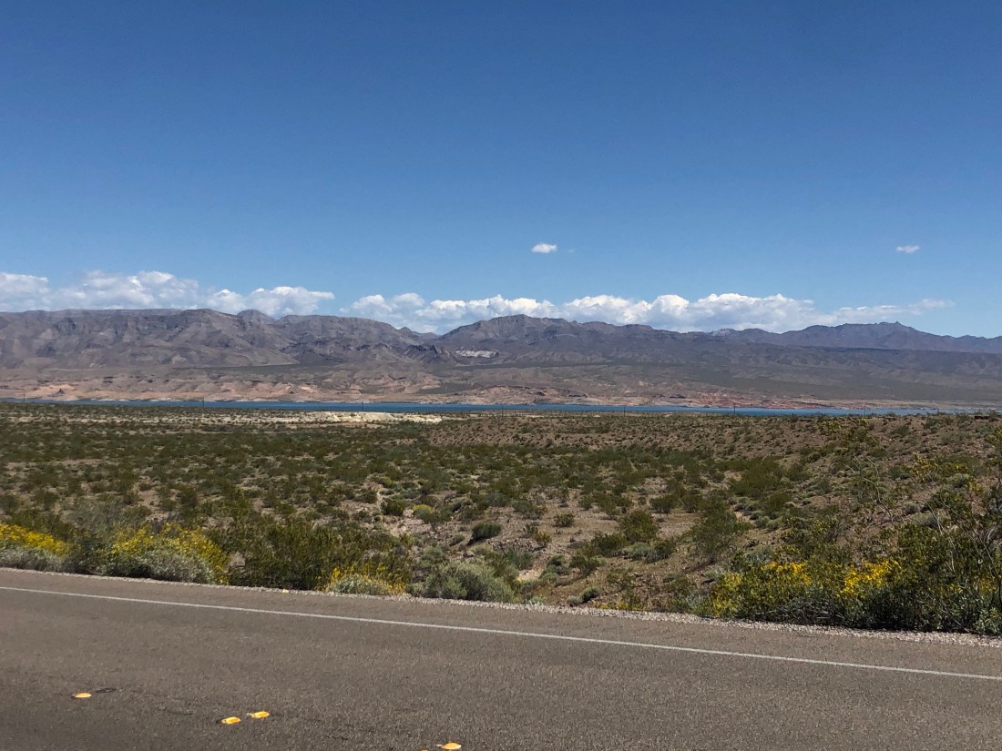 CsgzmiuYRtit+zQNkMX4Ww