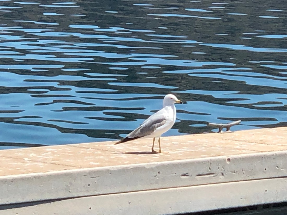 cUZBFE4fTaeGybwcoV6GDg