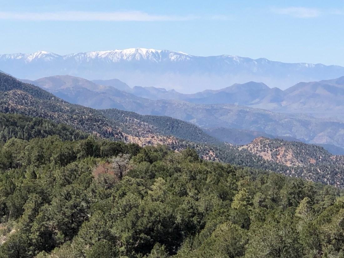 cymQo0OnQ3K5%F+e1bOC1w