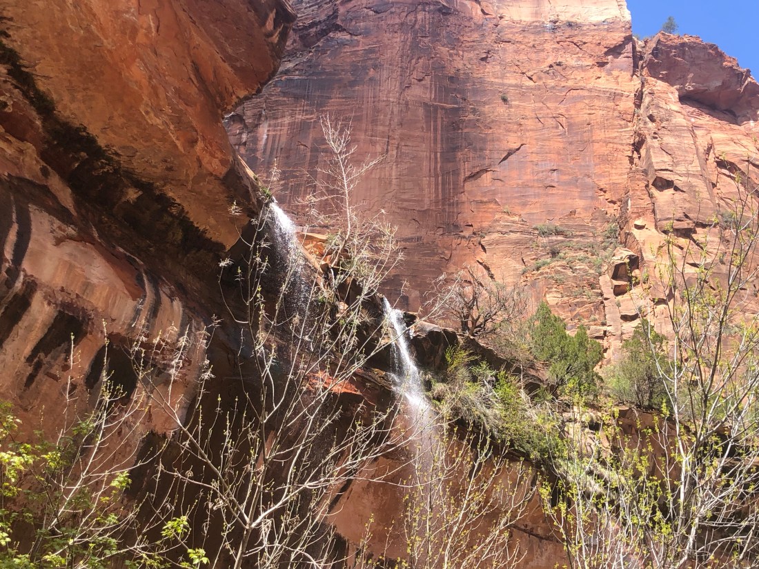 CZS2wv4vTEyMvI5OmKjnIg