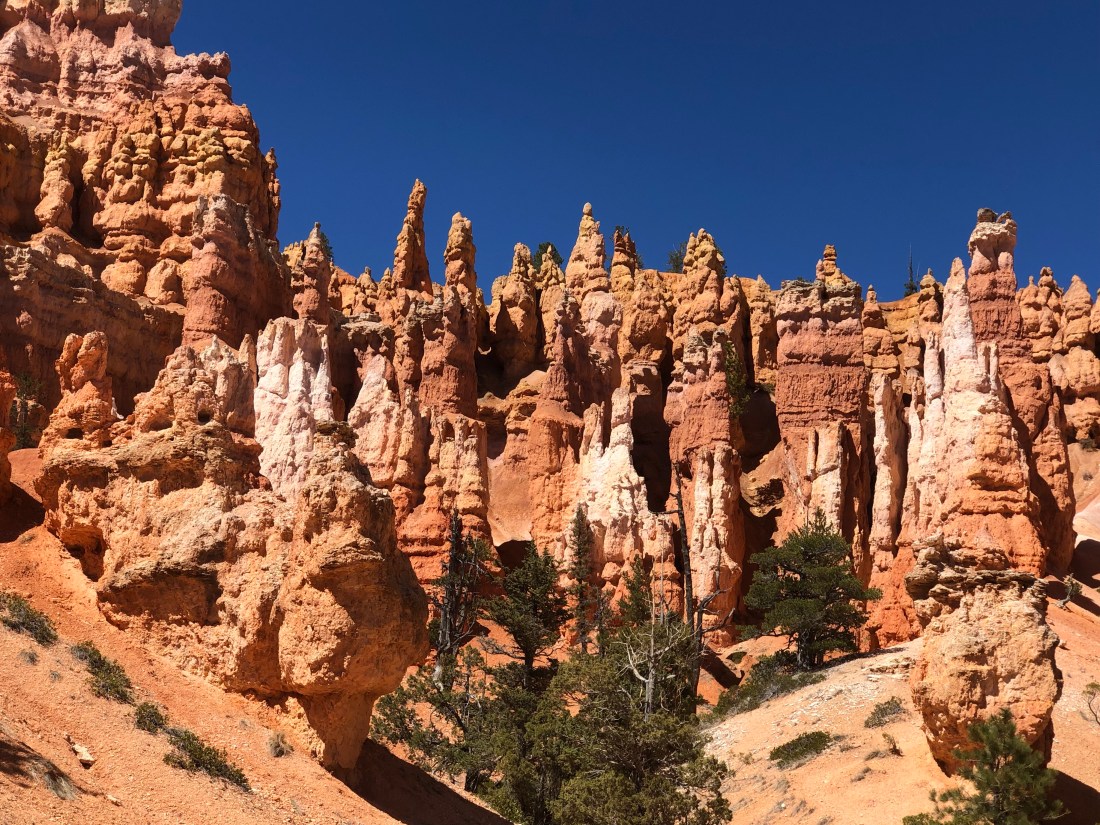 czU6plTVQ1CCCMuVGeqwkg