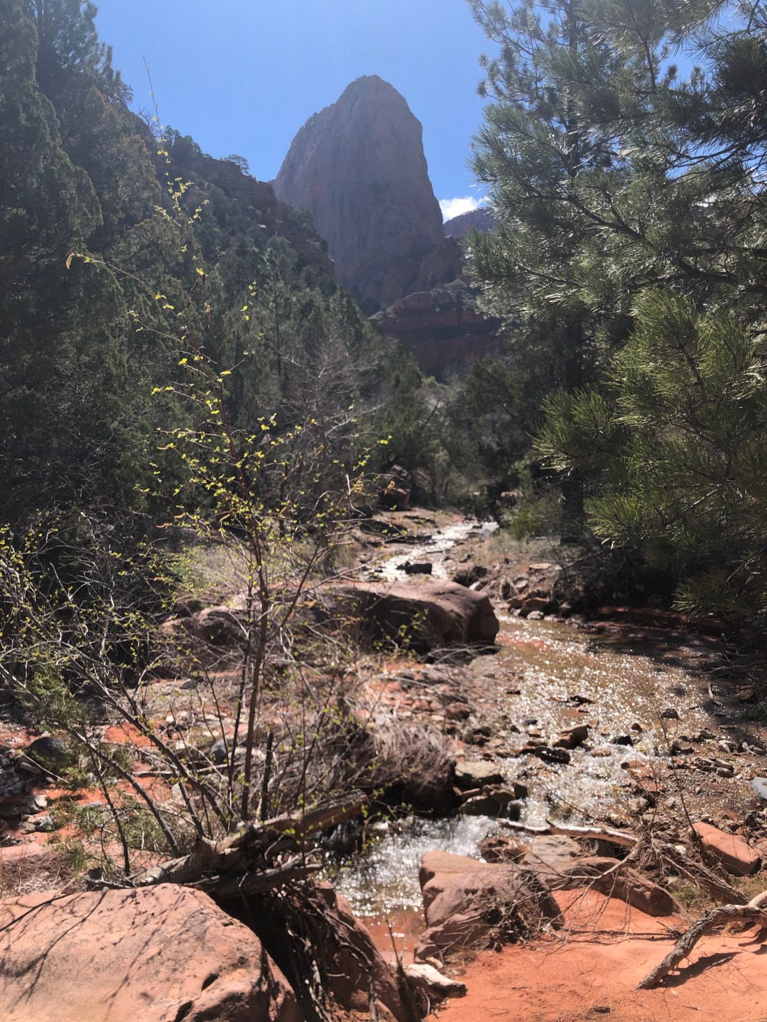 FaanAxo+QjeLWchrwpFXeA