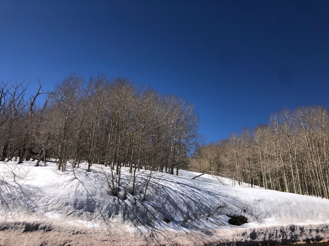 FJj8HLhBQ9qe8DZ2kR12TQ