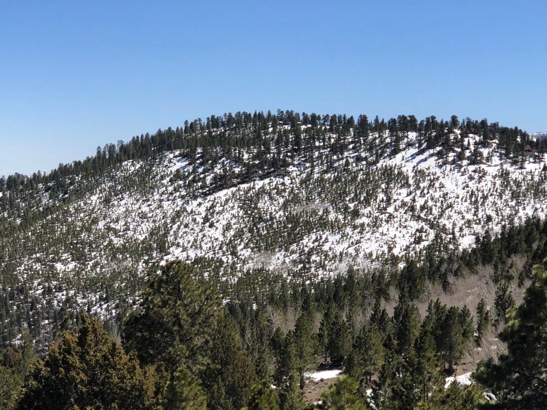 fqz+ifOsSlSd%I8KUFORdQ