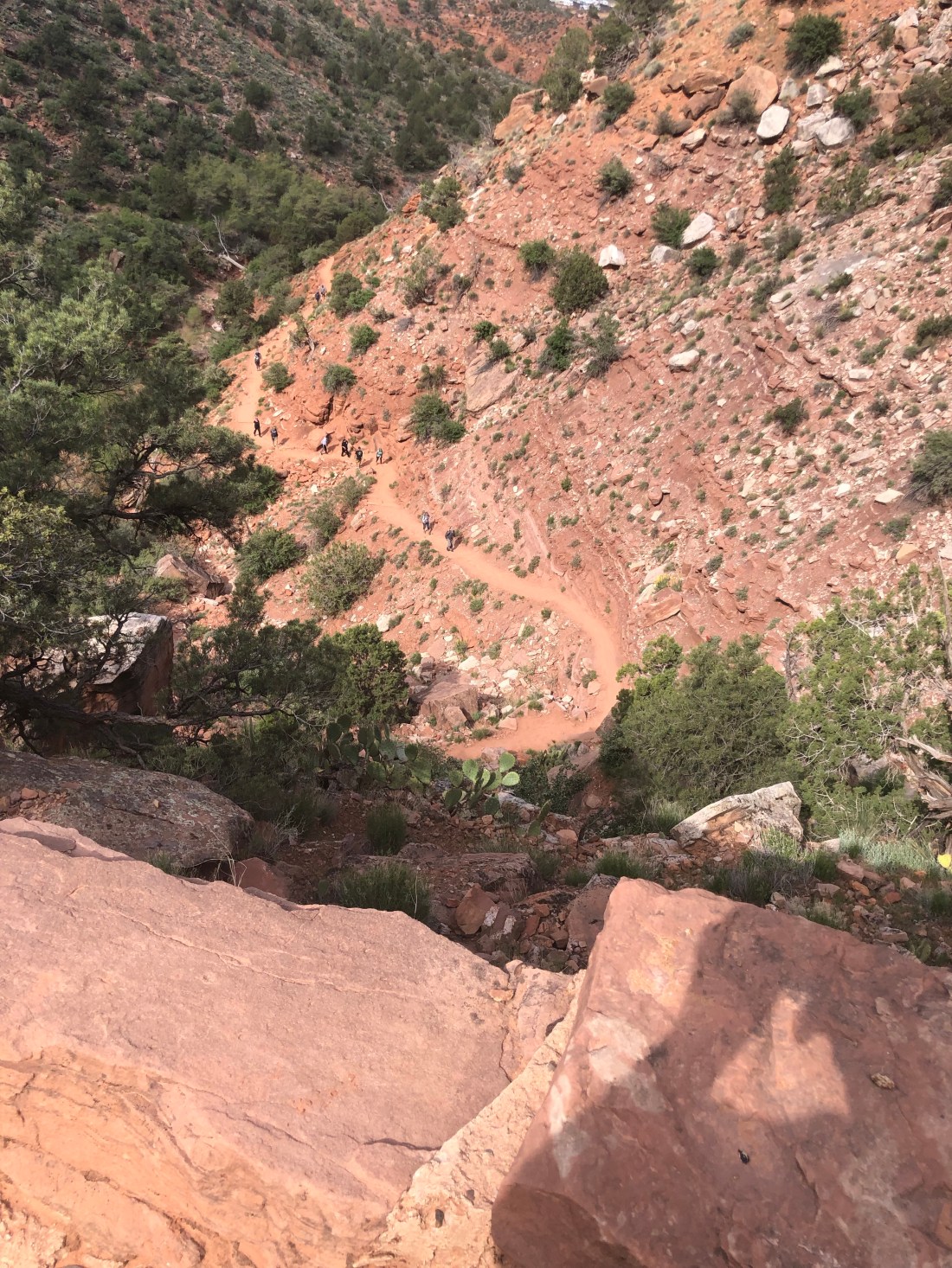 gRoaMeWESVmXOqNS7jD+Dg