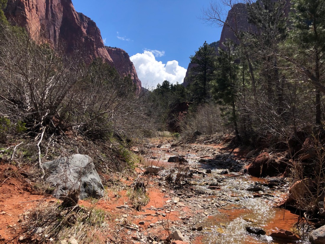 nSxOee4nTYChadTGjNWLog