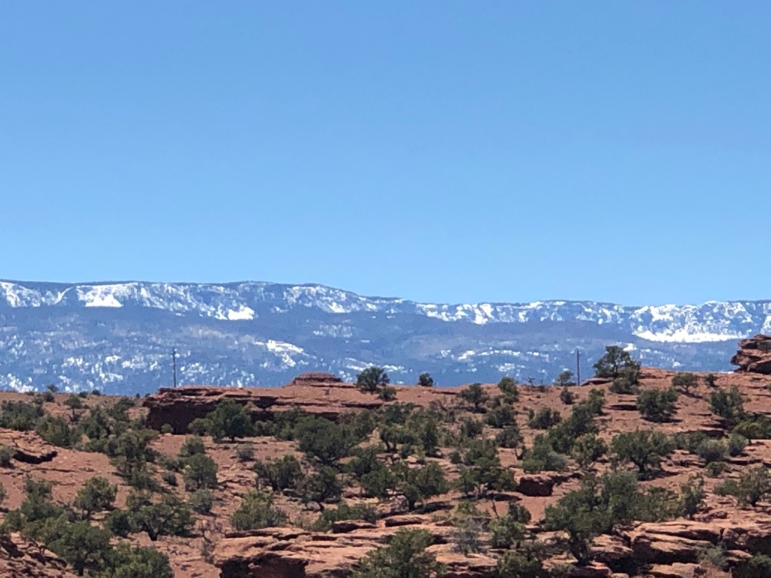 O7cEeQWrQ3+rL8X78fEY4g