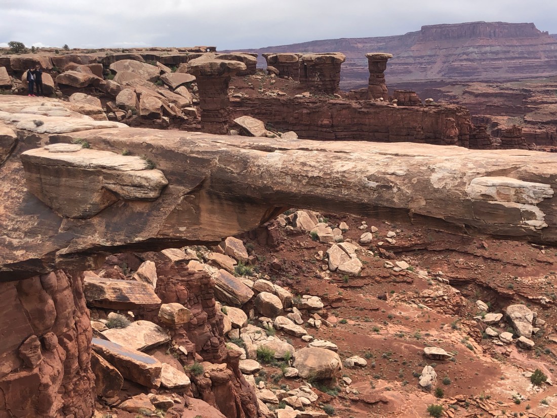 ohGjuubBQ6+PtWb3bX3J+w