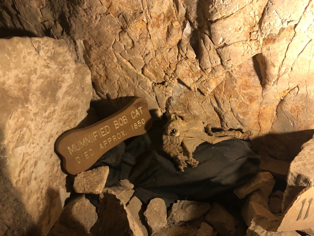 p9XQMqbVRfivbMq62XitMw