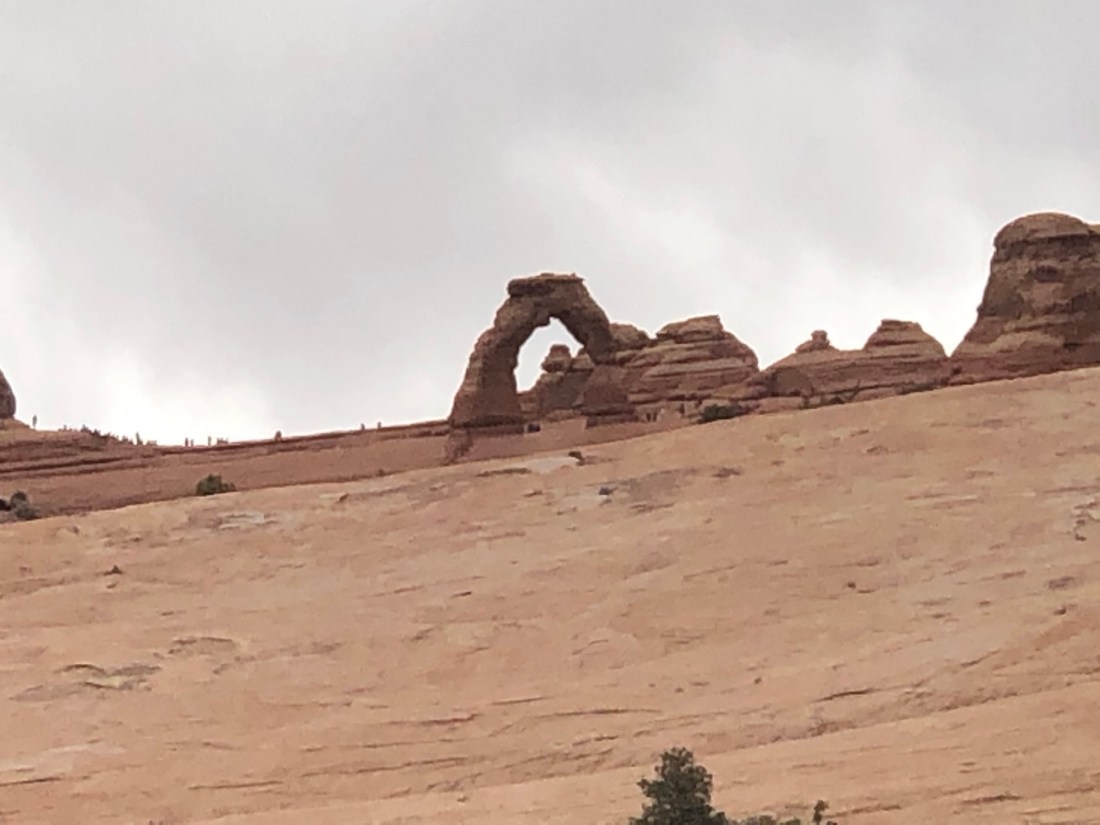 R8LN0wUkSEKb1XMiJjwlpg