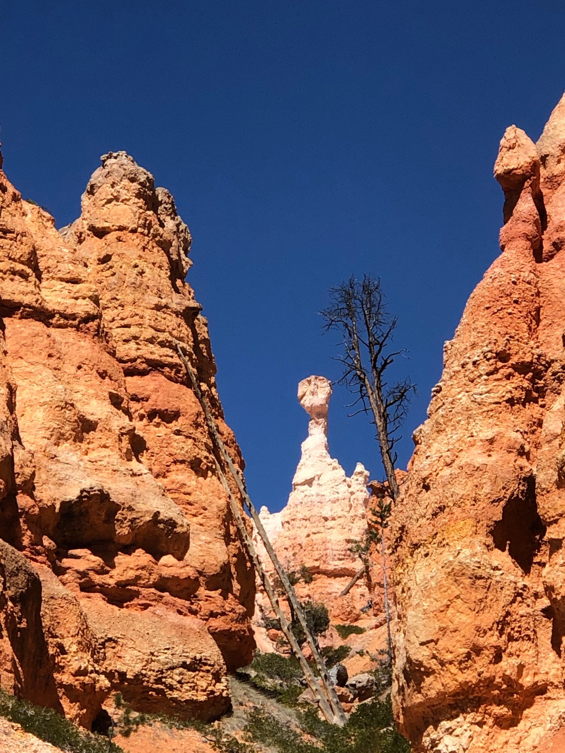 TyinYTjfTKmmYX6CPMOXKg