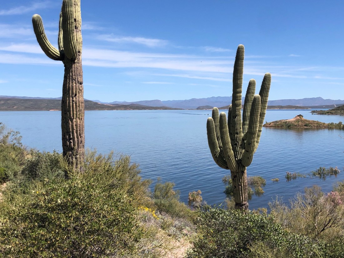 vdwjDduZQxiP9xFYfojRsA