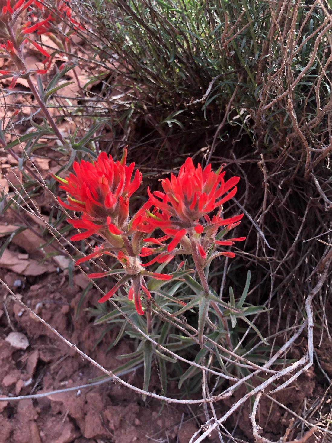 w7iPLBd5QSergQLxePSjMA