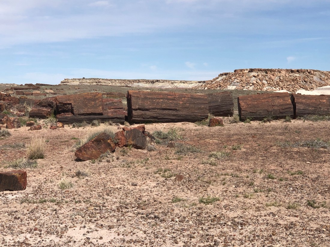 xB%GCLn%TFW21y5zuB4bPg