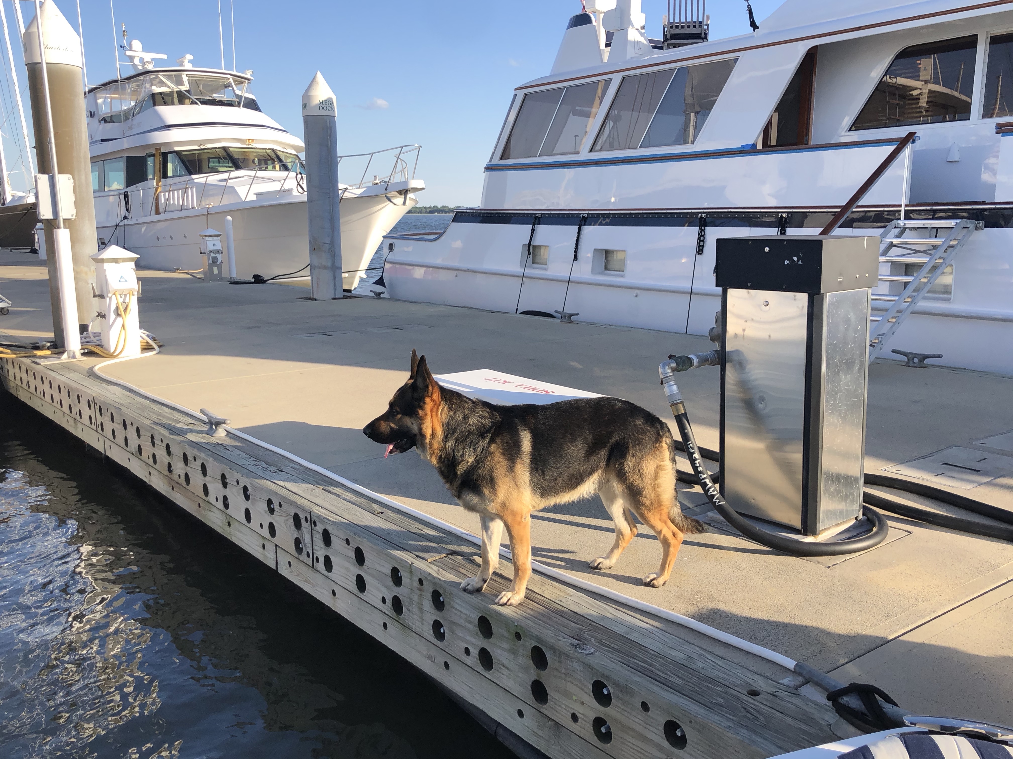 OPNmuHBMTEmIixeHHqnSlA