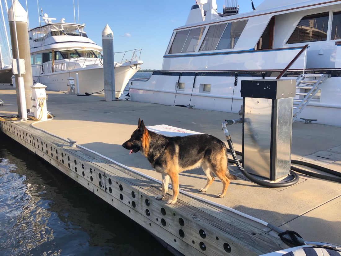 OPNmuHBMTEmIixeHHqnSlA